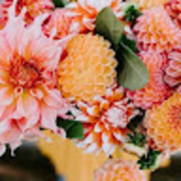 Meet your Posher, Lisa - Picture 1 of 1